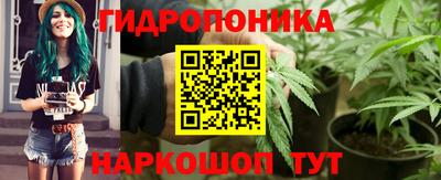 mdpv Бийск