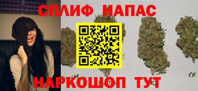 mdpv Бийск