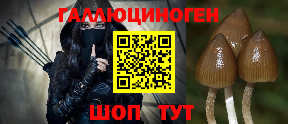 Псилоцибиновые грибы Psilocybine cubensis  Вход с VPN  Карачаевск 
